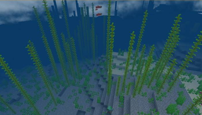 Недалеко от спавна