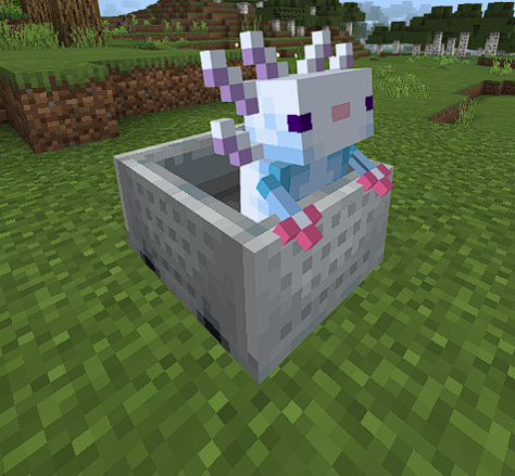 Белый аксолотль | Текстуры Аксолотли в вагонетках