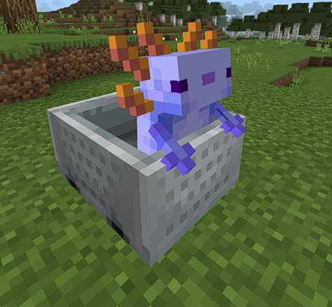 Синий аксолотль | Текстуры Аксолотли в вагонетках