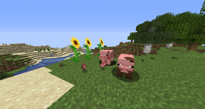 Подсолнухи | Текстуры TexturasCrX