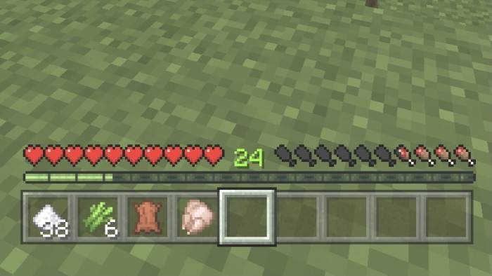 Новая шкала | Текстуры Шкала опыта из Java-версии