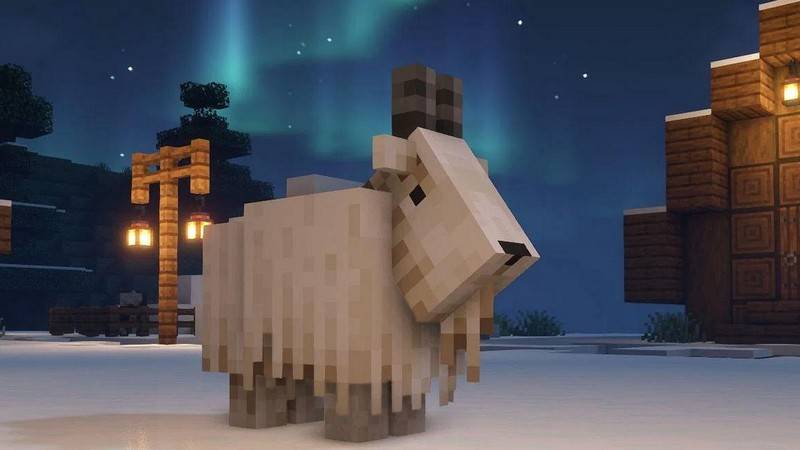 Скачать Майнкрафт 1.19.0.24 на Андроид (Тестовая версия) | The Wild Update