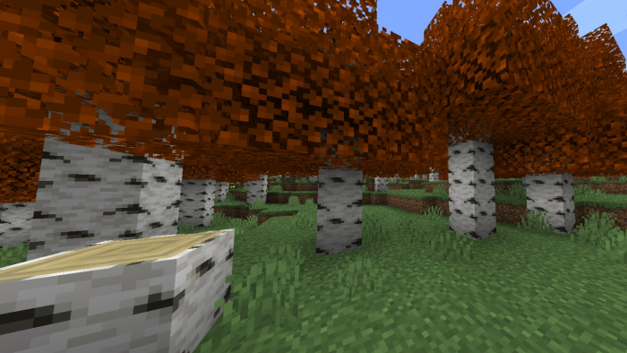 Осенняя береза | Текстуры Осенние Листья