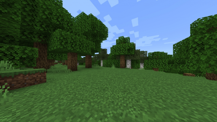 Лес | Текстуры Вариативные блоки