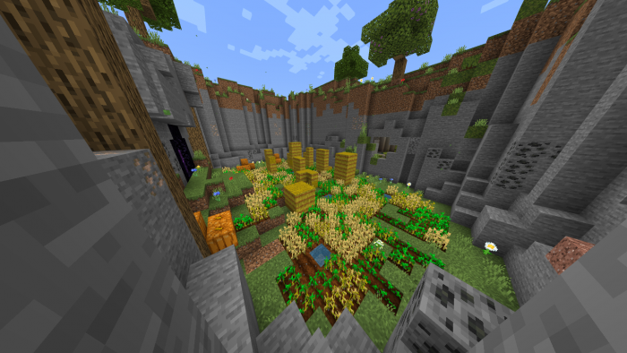 First Level - Biomes Parkour Map