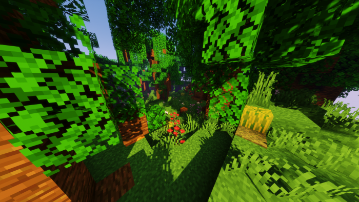 Густой лес | Карта Остров с джунглями