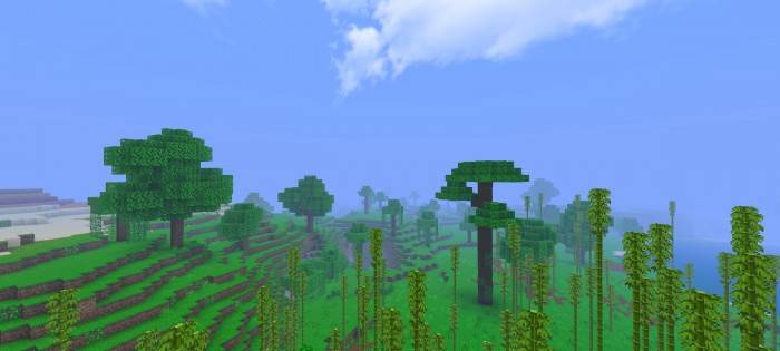 Лесной биом | Текстуры D-Graphics