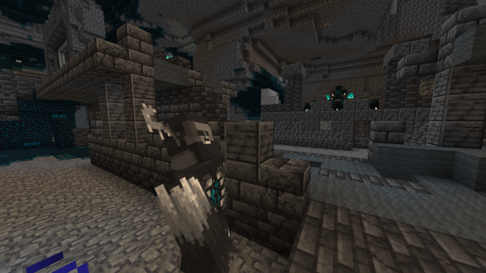 Измененный хранитель | Текстуры ГигаЧед-хранитель