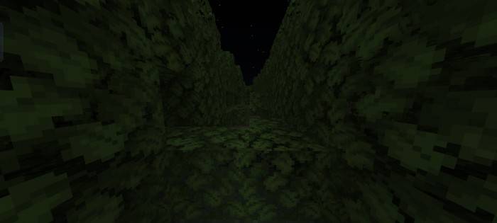 Кустарный лабиринт | Карта Спиритический сеанс