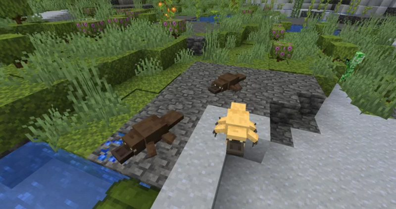 Утконосы | Текстуры Утконосы