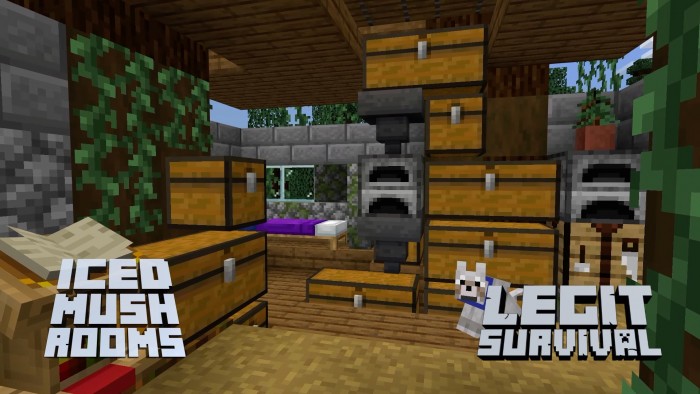 Превью карты | Карта Замороженные грибы