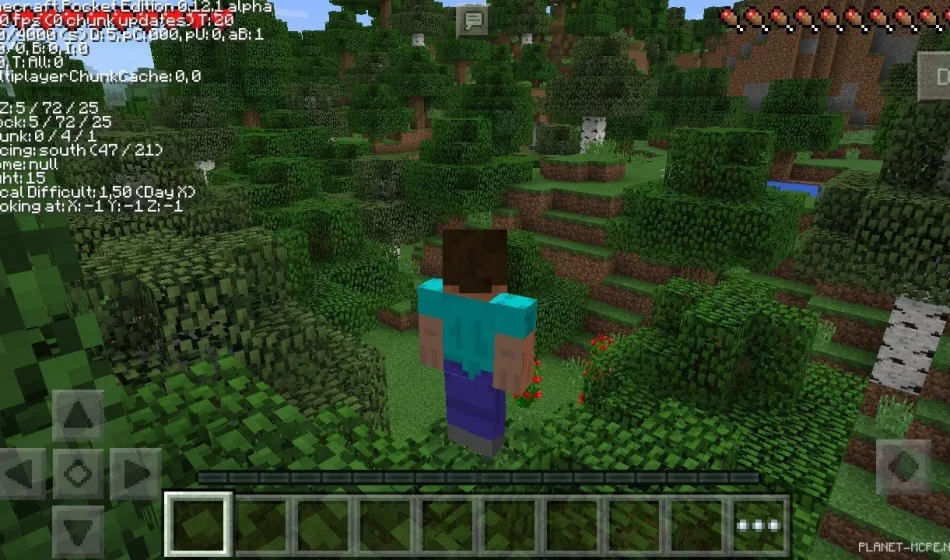 Мод DebugPE 0.15.6/0.14.3/0.13.1