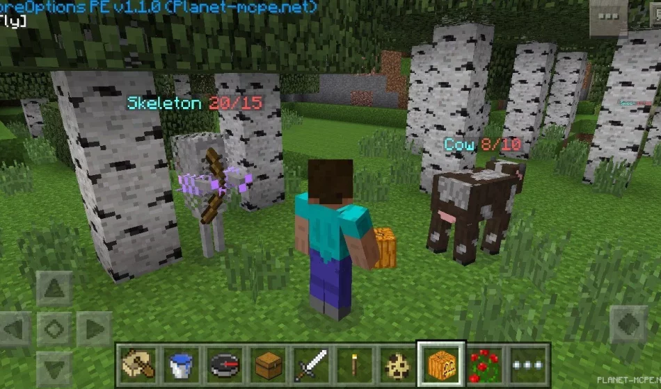 Мод AgameR MoreOptions PE 0.14.0/0.13.1/0.12.3