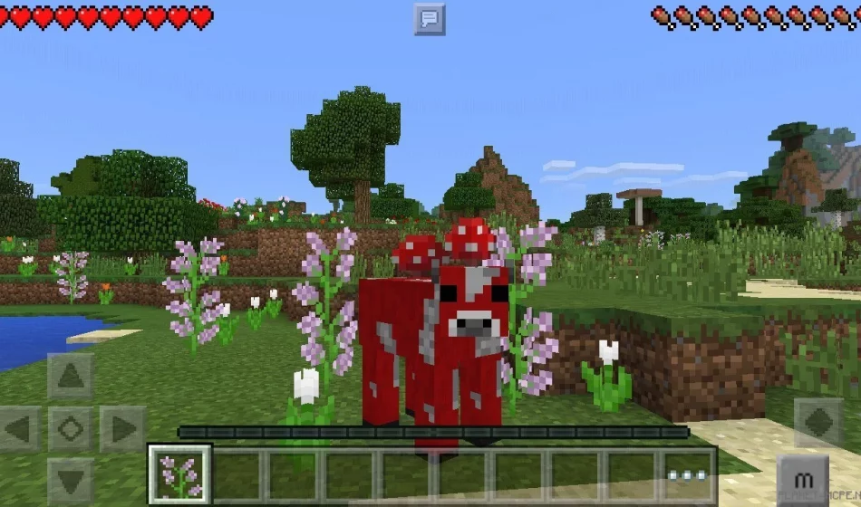 Мод Morph 0.15.6/0.15.4/0.14.3