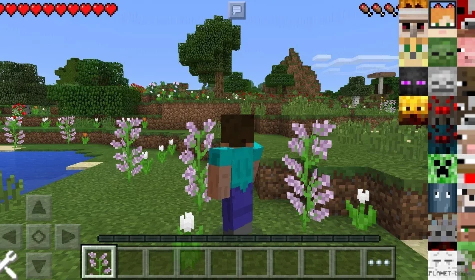 Мод Morph 0.15.6/0.15.4/0.14.3