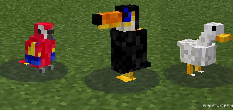 Мод Birds 0.15.6/0.14.3/0.13.1