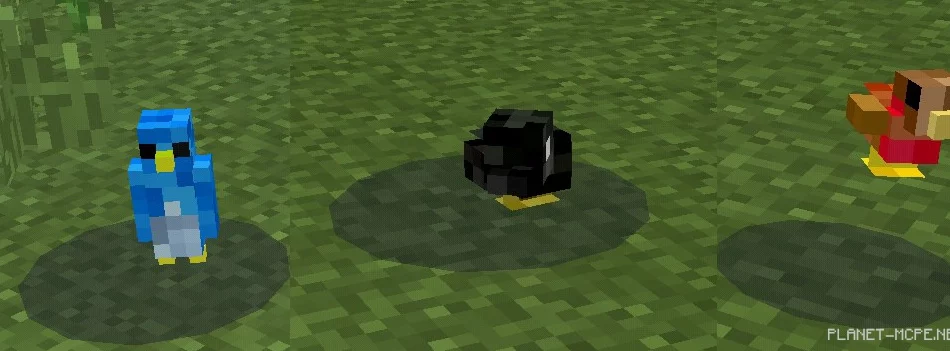 Мод Birds 0.15.6/0.14.3/0.13.1