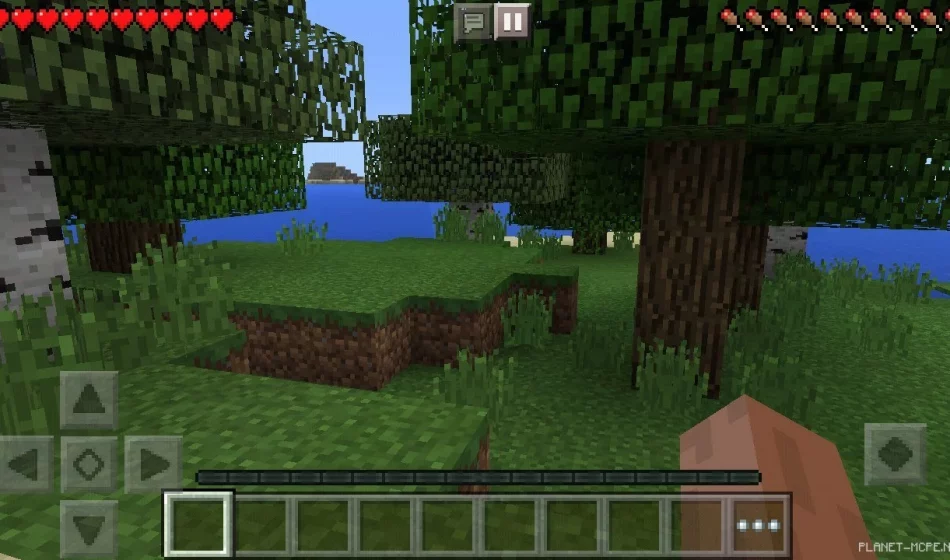 Мод Pause 0.15.6/0.14.3/0.13.1