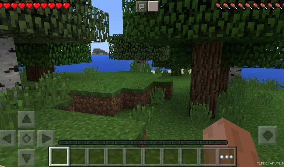 Мод Pause 0.15.6/0.14.3/0.13.1