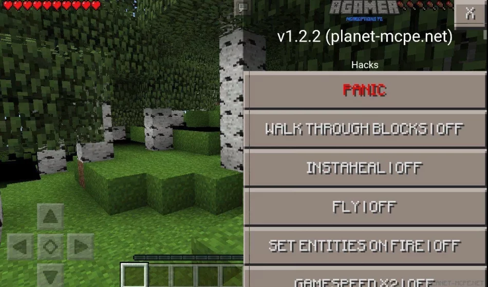 Мод AgameR MoreOptions PE 0.14.0/0.13.1/0.12.3