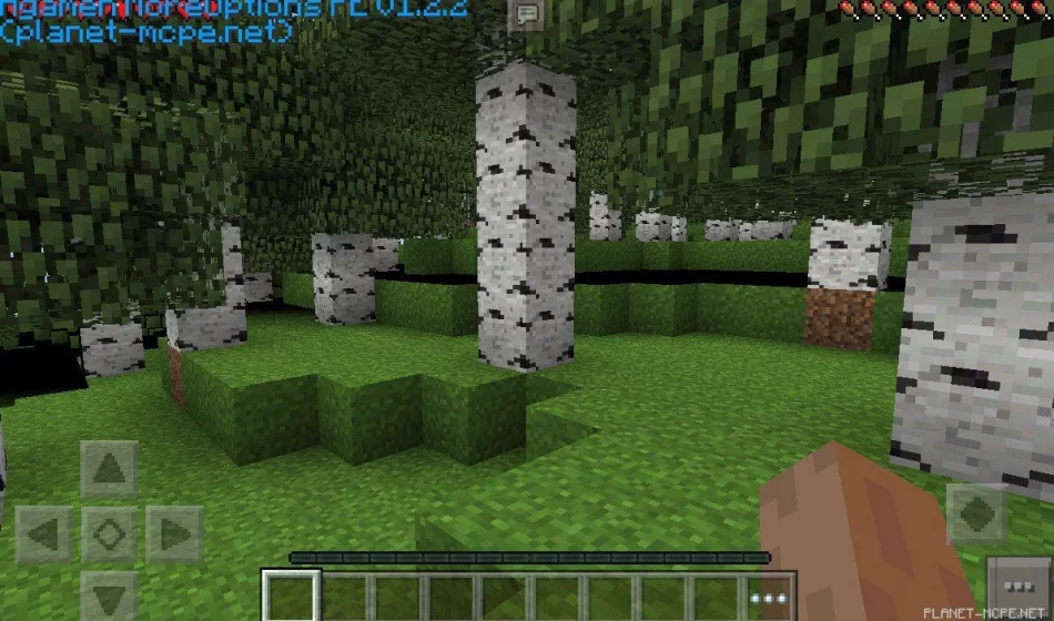 Мод AgameR MoreOptions PE 0.14.0/0.13.1/0.12.3