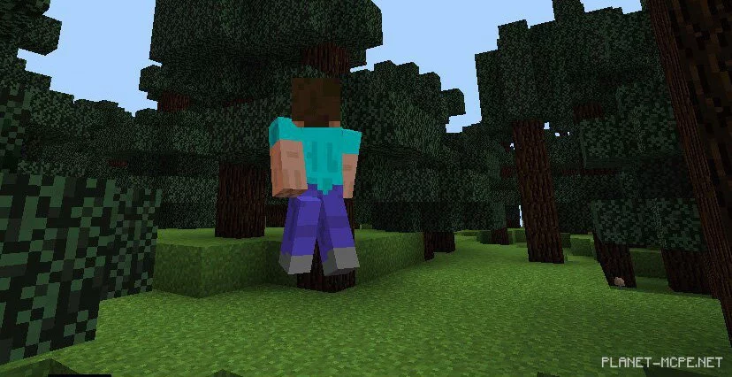 Мод AgameR MoreOptions PE 0.14.0/0.13.1/0.12.3