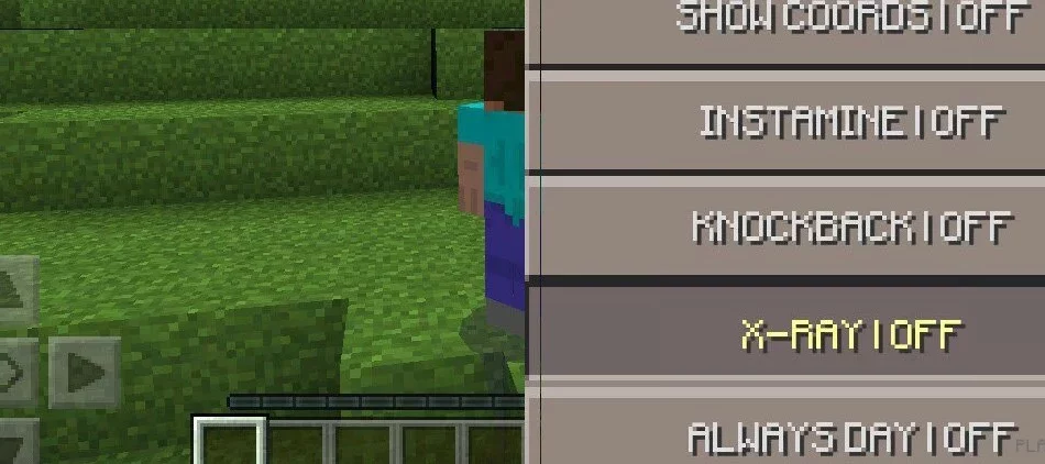 Мод AgameR MoreOptions PE 0.14.0/0.13.1/0.12.3