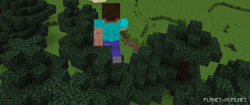 Мод AgameR MoreOptions PE 0.14.0/0.13.1/0.12.3