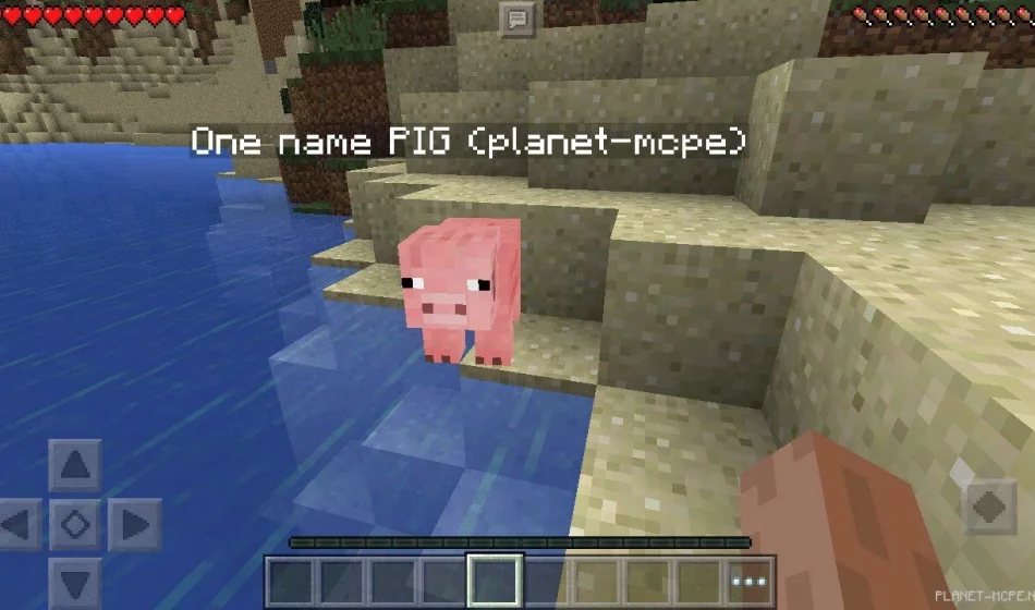 Мод Name Tag 0.14.2/0.14.0/0.13.1