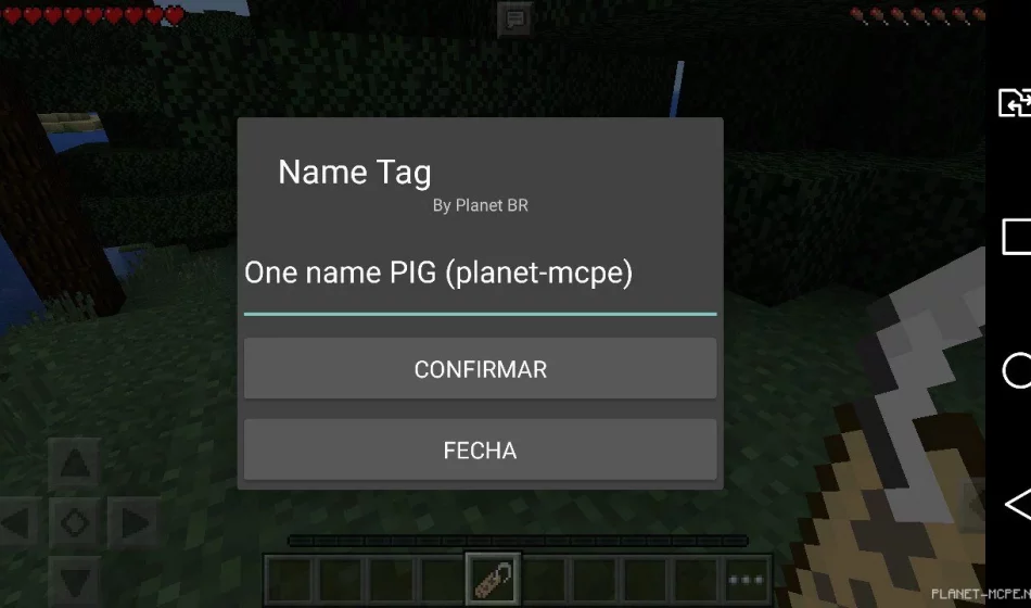 Мод Name Tag 0.14.2/0.14.0/0.13.1