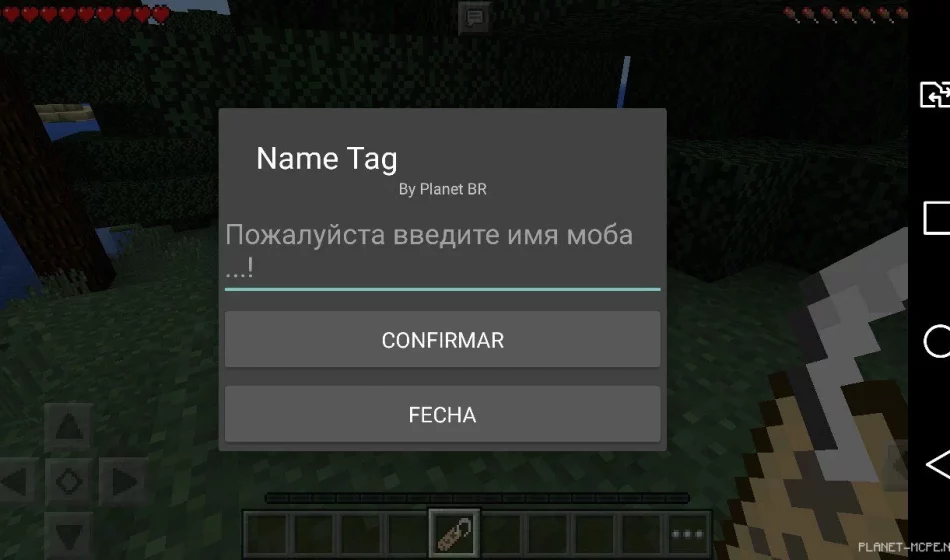 Мод Name Tag 0.14.2/0.14.0/0.13.1