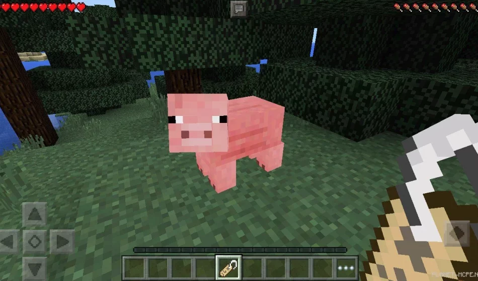 Мод Name Tag 0.14.2/0.14.0/0.13.1