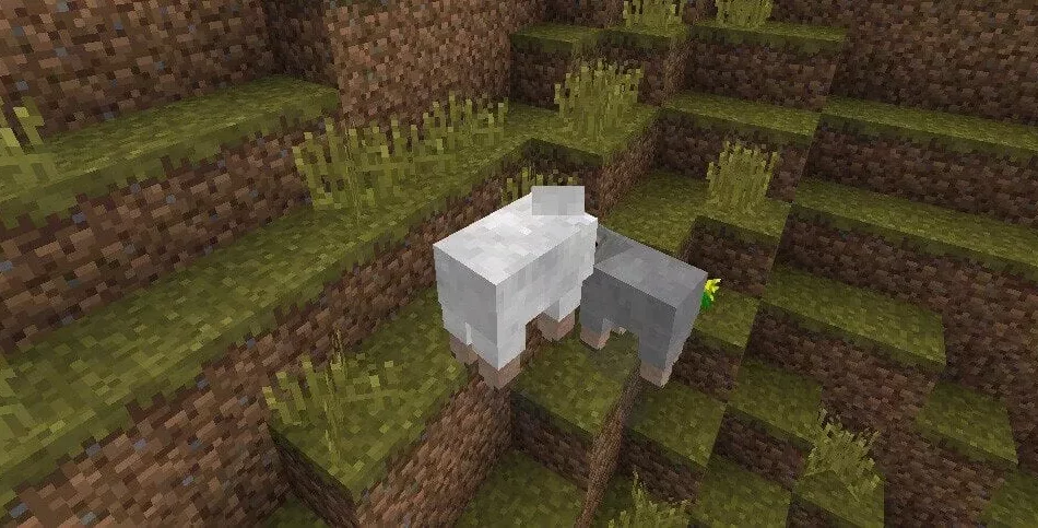 Morph Mod [Shapeshift] 0.15.3/0.14.0