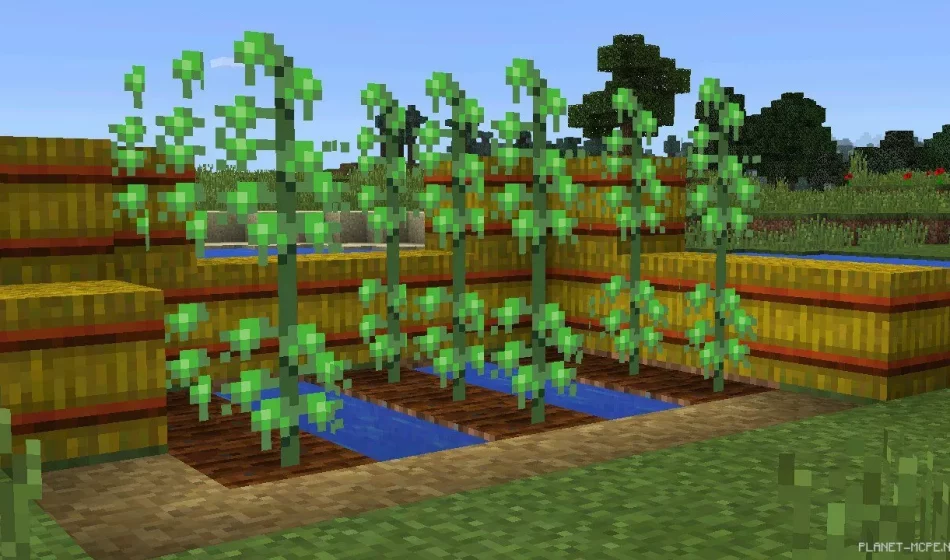 Weed Mod 0.14.2/0.14.1/0.14.0