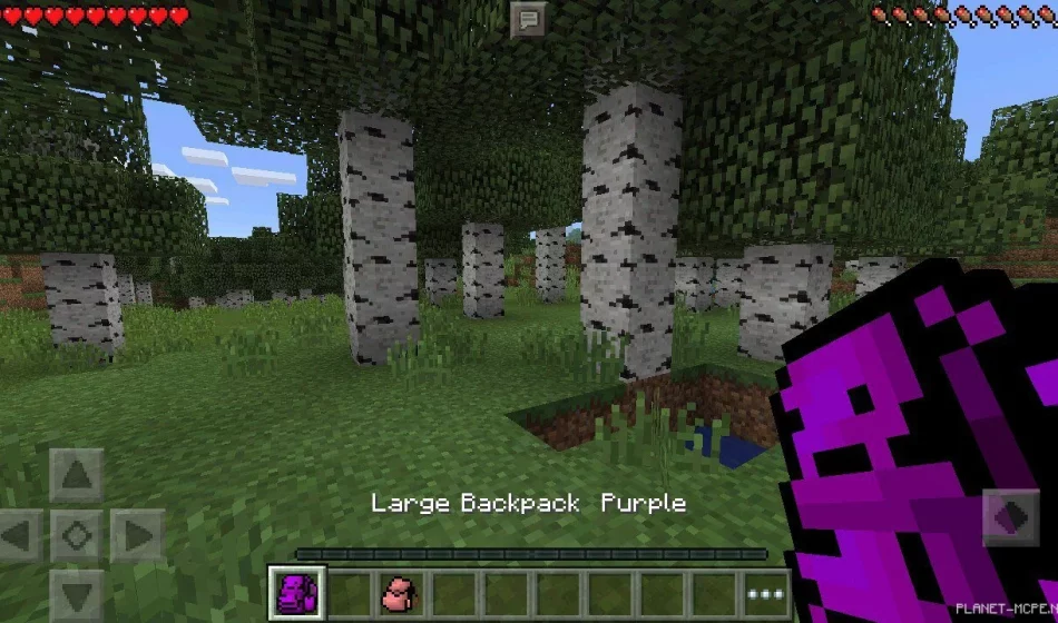 Мод Backpacks 0.15.4/0.14.3/0.14.0