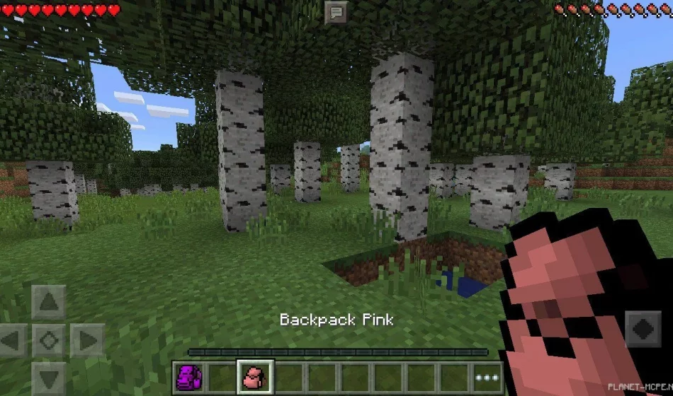 Мод Backpacks 0.15.4/0.14.3/0.14.0