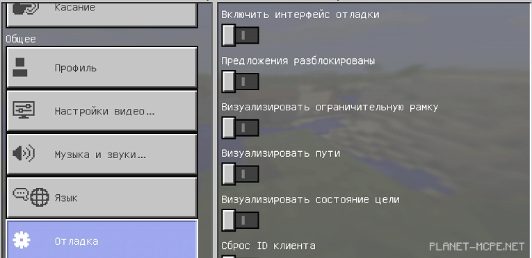 Мод Hidden Debug Screen 0.16.0