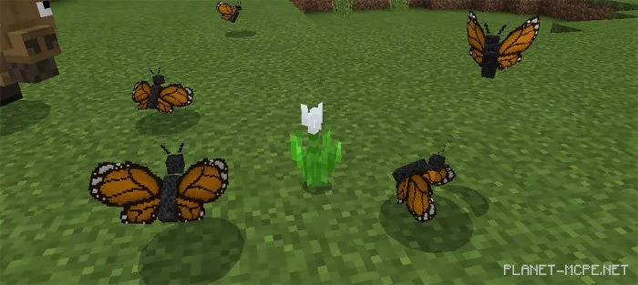 Мод Twilight Forest 0.16.1/0.16.0