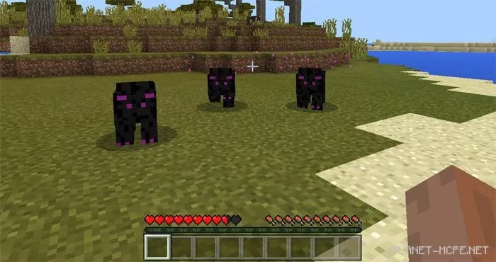 EnderPig Mod 0.17.0/0.16.1/0.16.0