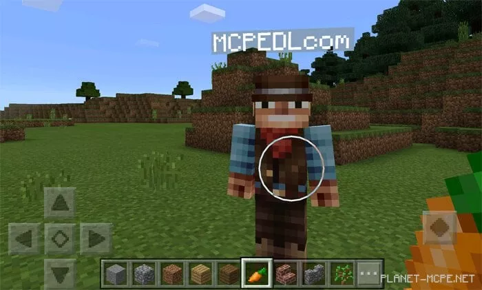 No Nametag Mod 0.17.0/0.16.0