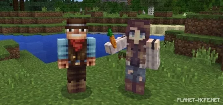 No Nametag Mod 0.17.0/0.16.0