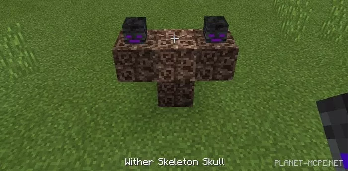 Ender Wither Mod 1.0/0.17.0/0.16.1/0.16.0