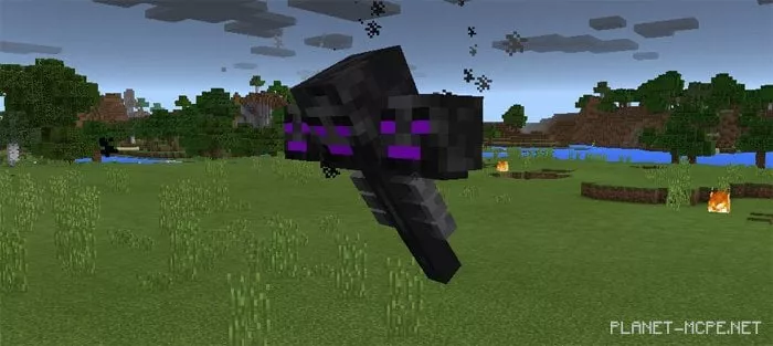Ender Wither Mod 1.0/0.17.0/0.16.1/0.16.0