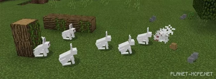 Killer Bunny Mod 1.0/0.17.0