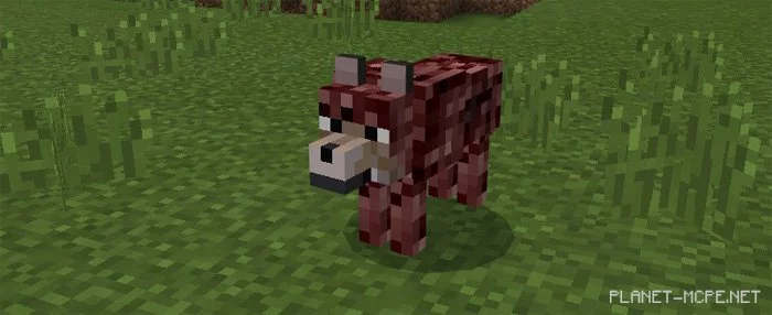 Мод The Nether Caster 1.0/0.17.0/0.16.1/0.16.0