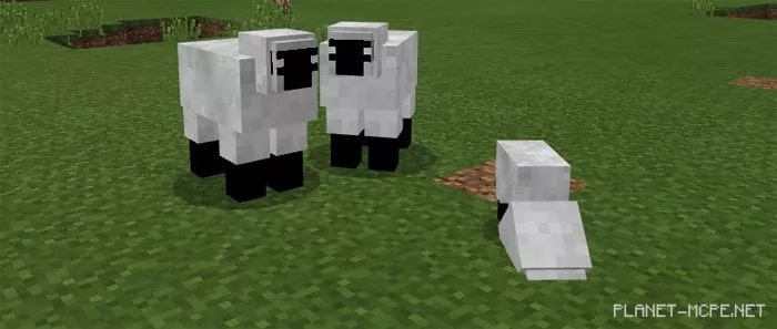 Mod Herobrine’s Everywhere 1.0/0.17.0