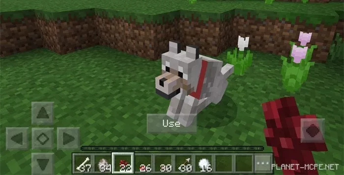 Mod My Wolf 1.0.8/1.0.0