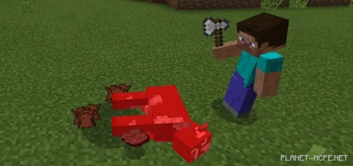 Double Drops Mod 1.1/1.0