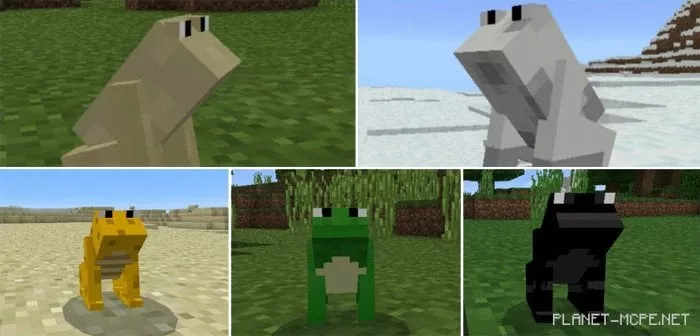 Mod Mine-Frog 1.0.5/1.0.0