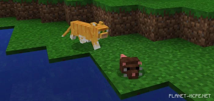 Мод Mouse 1.0.6/1.0.0